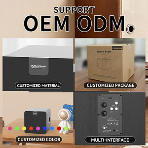 Subwoofer Attivo Classico 80W con LED RGB Wireless per Uso Esterno/Interno in Locali con Potente Altoparlante per Bassi - Product Image 4