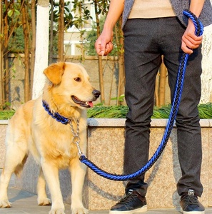 Collier de Dressage <span class=keywords><strong>pour</strong></span> animaux de compagnie Et <span class=keywords><strong>Laisse</strong></span> de <span class=keywords><strong>Chien</strong></span> En Nylon Solide Bande Paracord <span class=keywords><strong>Laisse</strong></span> et Collier De <span class=keywords><strong>Chien</strong></span> Avec Crochet Pivotant En Métal - Product Image 1