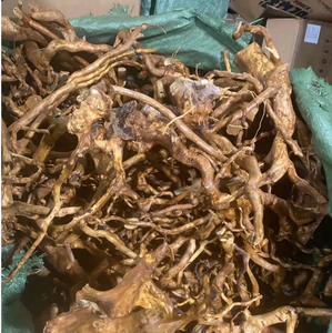 <span class=keywords><strong>Mousse</strong></span> pré-collée sur céramique pour décoration d'<span class=keywords><strong>aquarium</strong></span>, produit écologique prêt à la vente pour revendeurs, utilisation en chambre/dortoir - Product Image 2