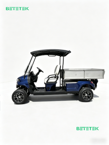 Carrito de Golf Eléctrico de 2 Plazas con Autonomía de 50-70 km/h, Capacidad de Subida del 20-25%, Neumáticos de 12 Pulgadas, Certificado CE/GCC para Carreteras No Públicas - Product Image 2