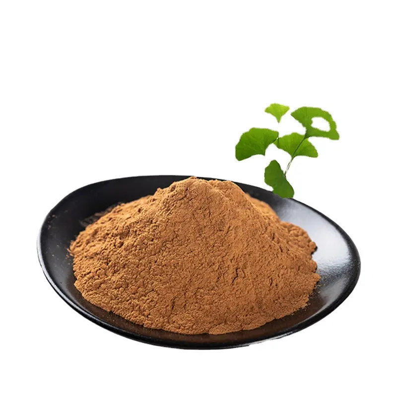 Factory supply Herbal extract for brain booster ginkgo biloba Extract ginkgo biloba