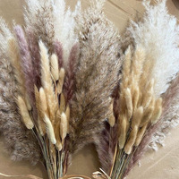 Bunga Kering Buatan Tangan Lintas Negara, Dekorasi Bohemian Pampas, Rumput Ekor Kelinci DIY, Daun Eucalyptus Campuran Tanpa Pewarna