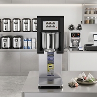 Bouilloire à thé électrique automatique et infuseur, nouveau modèle pour thé et jus