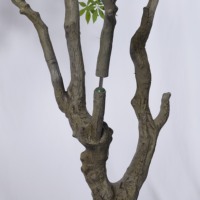 Haute Réaliste 150cm/210cm Artificielle Fleur Arbre Faux Feuilles Vertes Plante En Pot Faux Bonsaï Arbre pour Intérieur Décoratif