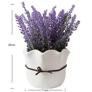 Nordique de haute qualité décoration de la maison bonsaï succulente céramique intérieur planteur Pot - Product Image 2