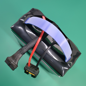 <b>Rechargeable</b> 12S 22000mAh Semi Solid State Lithium Ion Lipo <b>Battery</b> CE/RoHS Certified 270Wh/kg 10C Discharge Rate 12-Month - Product Image 5