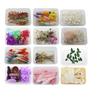 En vrac <span class=keywords><strong>pas</strong></span> <span class=keywords><strong>cher</strong></span> feuille eucalyptus rose <span class=keywords><strong>fleurs</strong></span> séchées bricolage bougie faisant boîte multi-forme jour de la terre de pâques - Product Image 5