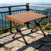 Table de camping pliable portable en alliage d'aluminium ultralégère pour barbecue, pique-nique, plage, jardin