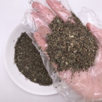 Feuilles de Mélisse Officinalis Séchées Vertes en Gros de Haute Qualité – Herbes Aromatiques Sèches Vertes (Melissa Officinalis TBC)
