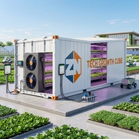 Grand conteneur de culture de fraises à circulation fermée, équipement automatisé de culture de baies en intérieur, en acier inoxydable 304