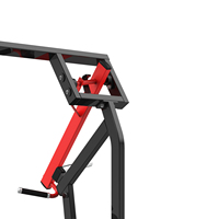 Máquina de pesas con placas Iso-Lateral Hammer Strength de Realleader, equipo de fitness comercial para entrenamiento de músculos del brazo