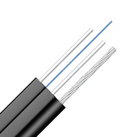 Kabel Drop Fiber Optik Ftth Luar Ruangan 1/2/4/6/8 Inti Kawat Baja Terlapis Galvanis SM G657A1 G657A2