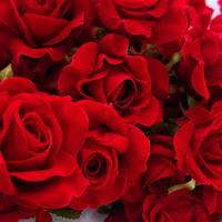Arche de fleurs artificielles en forme de cœur luxueuse, rouge, pour la décoration de mariage et les fournitures, décoration pour la Saint-Valentin
