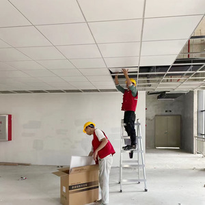 Pannello per Controsoffitto Sospeso in Alluminio 600x600 con Barra <span class=keywords><strong>a</strong></span> T Esposta - Product Image 6