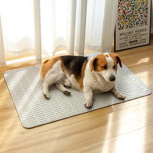 Tapis de lit rafraîchissant d'été <span class=keywords><strong>pour</strong></span> <span class=keywords><strong>chien</strong></span> <span class=keywords><strong>Coussin</strong></span> de sol antidérapant et respirant <span class=keywords><strong>pour</strong></span> grands chiens - Product Image 4