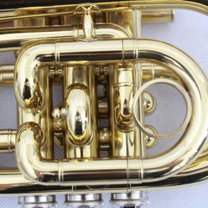 Trompeta de Bolsillo Económica de Buena Calidad, Instrumento Musical con Cuerpo de Latón <span class=keywords><strong>y</strong></span> Acabado Lacado en Oro - Product Image 4