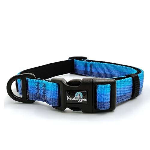 ปกสีน้ำเงิน