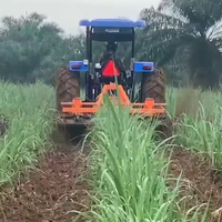 Cultivateur de canne à sucre à haute efficacité, cultivateur de canne à sucre pour les collines, cultivateur de canne à sucre pour tracteur