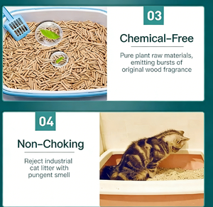 Litière pour chat en <span class=keywords><strong>bois</strong></span> de pin naturel, sable pour chat en gros, litière pour chat en fibres de cèdre, <span class=keywords><strong>granulés</strong></span> de bouleau, sable pour chat 100% biodégradable - Product Image 4