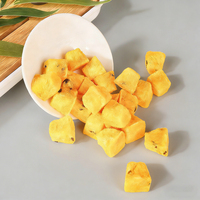 Gefreeze-droogde passievruchtthee, rijke tropische smaak, natuurlijk rijk aan vitamine C, dagelijkse fruitinfusie, OEM, rechtstreeks van de fabriek