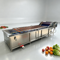 Ecologisch verantwoorde, CE-goedgekeurde industriële was- en droogmachine voor het reinigen en verwerken van groenten, fruit en gedroogde dadels