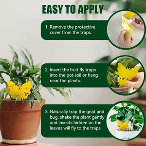 Trampas Adhesivas Amarillas No Tóxicas al por Mayor para Moscas de la Fruta, Mosquitos y Otros Insectos Voladores Pequeños - Product Image 3