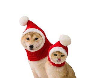 New Design Christmas <strong>Dog</strong> Beanie Hat Eco-Friendly Striped <strong>Pattern</strong> Spring/Winter Warm <strong>Knitted</strong> for New Year Party - Product Image 1