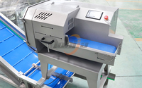 Sus 304 Saladeverwerkingsmachine, Saladesnijder, Apparatuur voor het wassen en snijden van koolsalade