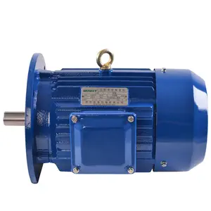 D-004 YE3 230/380 AC-Volta-Elekstromotor mit 50 Hz Frequenz dreiphasiger vollständig abgeschlossener Schutzgehälter Induktionsmotor