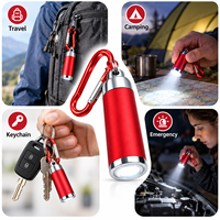 Mini lampe torche porte-clés en alliage de zinc, torche LED avec mousqueton, logo personnalisé, cadeau promotionnel, 6 couleurs, vente en gros OEM
