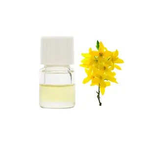 Aceite esencial de Forsythia de alta calidad 100% Pure Weeping Forsythia Oil