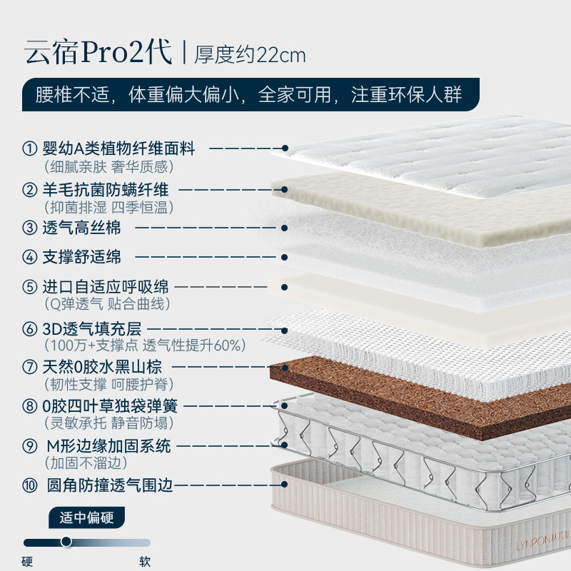 [Moderément ferme] Yunsu Pro 2 (22 cm)