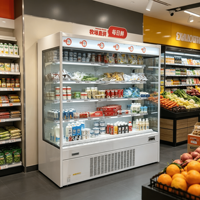 Réfrigérateur-chaudière multi-étagères enfichable sans givre à technologie Inverter, vitrine pour la présentation de légumes frais