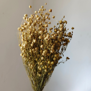 <span class=keywords><strong>Fleurs</strong></span> <span class=keywords><strong>séchées</strong></span> riches en couleur, <span class=keywords><strong>fleurs</strong></span> <span class=keywords><strong>séchées</strong></span> conservées, <span class=keywords><strong>bouquet</strong></span> de 50 g et lots d'artisanat, longue durée de vie de 3 à 5 ans pour Thanksgiving - Product Image 3