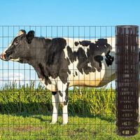 Clôture de ferme en treillis métallique galvanisé à chaud, enclos carré métallique pour bétail et chèvres