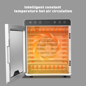 10托盘迷你家用食品水果干燥工艺水果脱水机，带1000W - Product Image 2