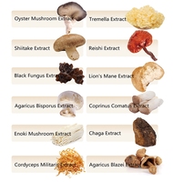 Vente directe d'usine - Poudre de Ganoderma Lucidum - Extrait de champignon Reishi