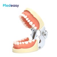 Modelo de Dientes para Estudiantes de Odontología, Simulación Médica, Encías Suaves, Silicona de Alta Calidad, PVC, 8x6.5cm, para Preparación