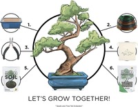 Leaves & Soul Kit Pot Bunga Kecil Ramah Lingkungan untuk Dekorasi Rumah dan Penggunaan di Meja - Set Lengkap untuk Pemula