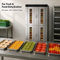 Déshydrateur alimentaire commercial en acier inoxydable à 96 couches, four de séchage pour fruits, légumes et viandes, chauffage électrique 0-100