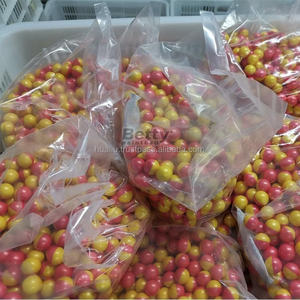 Billes de paintball PEG gonflables en gélatine écologiques, personnalisables (couleur et logo), pour entraînement extérieur, calibre 0.68/0.5/0.43, vente en gros - Product Image 6