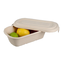 Emballage alimentaire jetable portable 24oz 32oz 1000ml 10" Boîte rectangulaire en papier biodégradable en canne à sucre Contenant pour nouilles et pique-nique