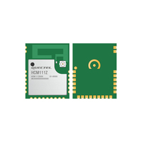 Module BLE HCM111Z 5.3 en boîtier LGA avec codec audio intégré et Cortex M3 48 MHz pour la maison intelligente et les appareils IoT