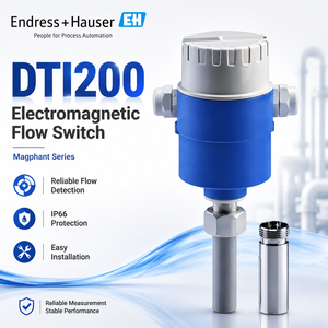 เอนเดรส+เฮาเซอร์ DTI200 เครื่องวัดการไหลแบบกะทัดรัดสำหรับอุตสาหกรรม - Product Image 1