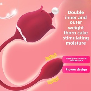 Vibromasseur Rose Flirting pour femmes, double alimentation USB, pour jeunes femmes, jouet sexuel pour masturbation, vibromasseur pour adultes - Product Image 2