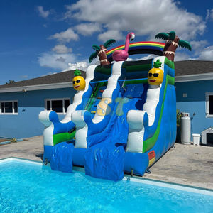 Tobogán acuático inflable comercial Flamingo Toboganes De Agua Tobogán inflable de piña de alta calidad con <span class=keywords><strong>piscina</strong></span> grande - Product Image 2