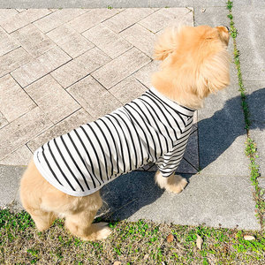 T-shirt d'été rayé en coton pour chien, pull moderne pour animaux de compagnie, pour Welsh Corgi, Samoyed, Husky, <span class=keywords><strong>Labrador</strong></span>, <span class=keywords><strong>Golden</strong></span> <span class=keywords><strong>Retriever</strong></span> - Product Image 2