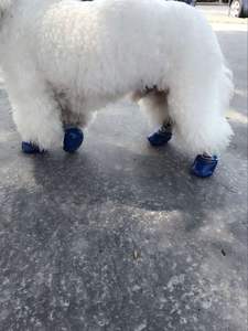 Comfortable Dog Cat <b>Shoes</b> Socks Waterproof Anti-Dirt Anti-Slip for Indoor Outdoor Sports Made From Durable Rubber - Product Image 5