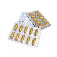 Prix d'usine OEM, capsules de complément alimentaire à base d'herbes pures pour soutenir l'immunité et la gestion de l'énergie, pour adultes