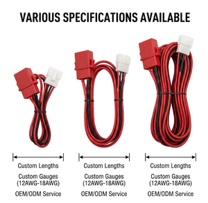 Conjunto de Cableado OEM Personalizado JST VLP02 de 2 Pines con Portafusibles, Cable de Alimentación Moldeado por Inyección HINICABLE HYH-PCC-001 - Product Image 5